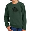 Youth V.I.T. Fleece Crew Thumbnail